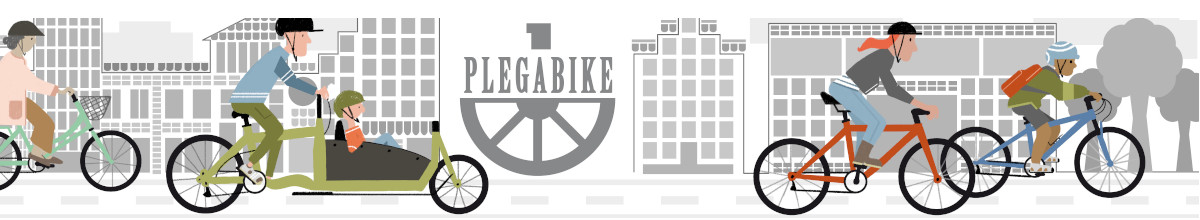 Plegabike Petitbike