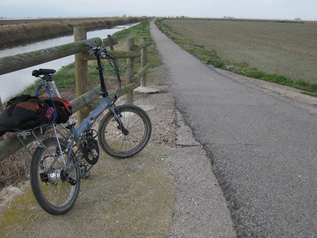 Dahon Speed P8 y Kokua Jumper